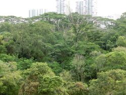 Cavendish Park (D21), Condominium #404331231